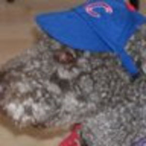 Meet your Posher, Jean